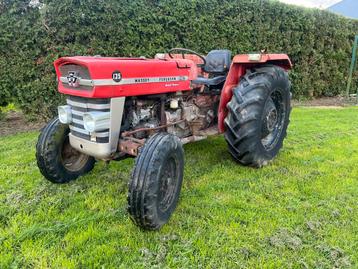 Massey Ferguson 135 start loopt en rijdt. Elektra nakijken beschikbaar voor biedingen