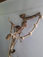 Te koop, Meerdere dieren, Parkiet