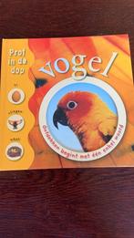P. Arlon - Vogel, Ophalen of Verzenden, Zo goed als nieuw, Vogels