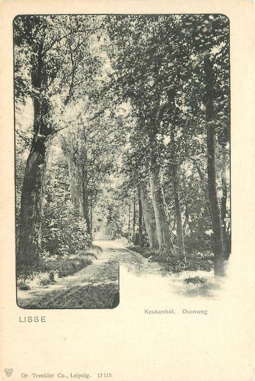 (701-152-047) Lisse Keukenhof Duinweg, Verzamelen, Ansichtkaarten | Nederland, Zuid-Holland, Verzenden