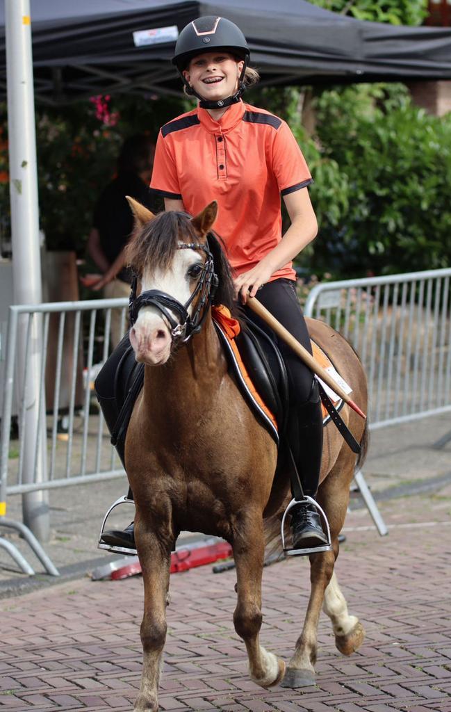 Diverse paarden en ponys, Dieren en Toebehoren, Pony's, Meerdere dieren, A pony (tot 1.17m)