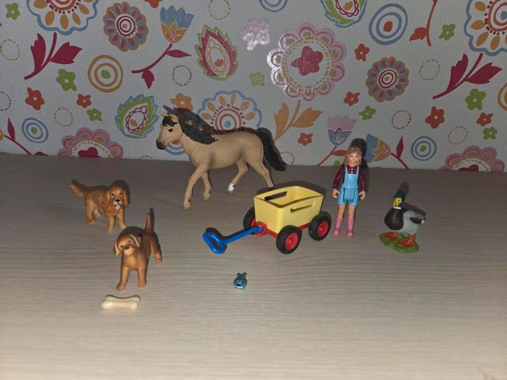 Schleich Speelgoed Set - Paard, Poppetje, Dieren & Wagen, Kinderen en Baby's, Speelgoed | Overig, Gebruikt, Jongen of Meisje, Ophalen of Verzenden