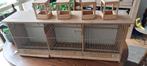 kooi, Dieren en Toebehoren, Vogels | Hokken en Kooien, Ophalen, Zo goed als nieuw, Hout, Vogelkooi