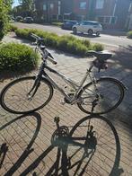 Koga Miyata dames framemaat 54. Alles werkt., Ophalen, 28 inch, Koga Miyata, Meer dan 20 versnellingen