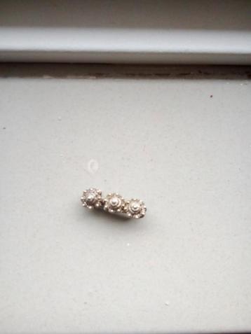 Broche zeeuwse knopje beschikbaar voor biedingen