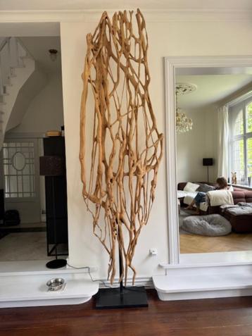Kunst object wortels van 1 boom 350 cm hoog beschikbaar voor biedingen