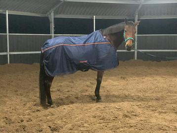 Bucas recuptex light 6.0 183 beschikbaar voor biedingen