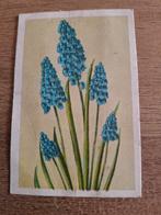 Oude plaatjes Karnemelkzeep No. 340 - Blauwe Druifjes, Ophalen of Verzenden, 1920 tot 1940, Ongelopen