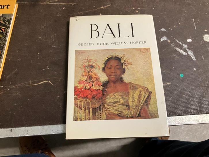 Bali Indië Willem Hofker, Boeken, Kunst en Cultuur | Beeldend, Gelezen, Schilder- en Tekenkunst, Ophalen