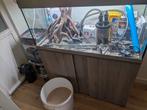 Eheim vivaline 180 compleet met toebehoren, Dieren en Toebehoren, Vissen | Aquaria en Toebehoren, Ophalen, Gebruikt, Leeg aquarium
