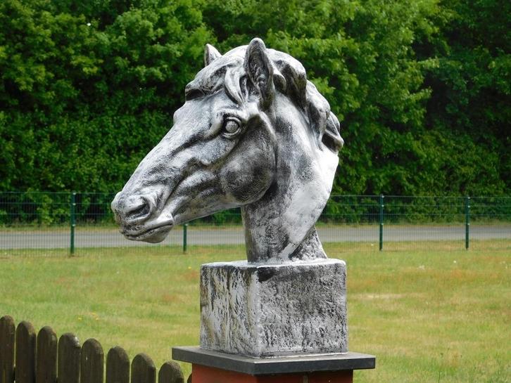 Groot paardenhoofd - zilvergrijs - polystone, Antiek en Kunst, Kunst | Designobjecten, Ophalen of Verzenden
