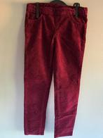 H&M Burgundy/Bordeaux Smalgeribd Corduroy Treggings mt 128, Broek, Meisje, H&M, Ophalen of Verzenden