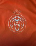 Max Verstappen F1 shirt GP Oostenrijk, Ophalen of Verzenden, Zo goed als nieuw