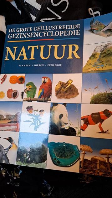 De Grote Geïllustreerde Gezinsencyclopedie Natuur beschikbaar voor biedingen