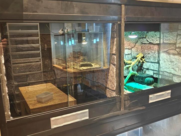 Betonplex terrarium in nieuwstaat!, Dieren en Toebehoren, Reptielen en Amfibieën | Toebehoren, Zo goed als nieuw, Ophalen