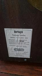 BES Panneau Sonore 50W 6045 V2H Zeldzame Paneel Luidsprekers, Audio, Tv en Foto, Luidsprekers, Ophalen