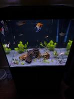 Aqualantis Aquarium 200L – compleet, zo goed als nieuw, Dieren en Toebehoren, Vissen | Aquaria en Toebehoren, Ophalen, Zo goed als nieuw