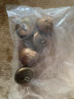 Korps mariniers knopen, Ophalen of Verzenden, Zo goed als nieuw