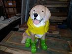Hond in regenpak deco beeld figuur regenjas, Verzamelen, Nieuw, Ophalen of Verzenden, Dier