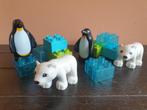 Duplo pooldierenset - pinguin en ijsbeer, Ophalen of Verzenden, Zo goed als nieuw, Complete set, Duplo