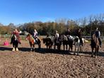 Lease paarden aangeboden!, Dieren en Toebehoren, Ophalen