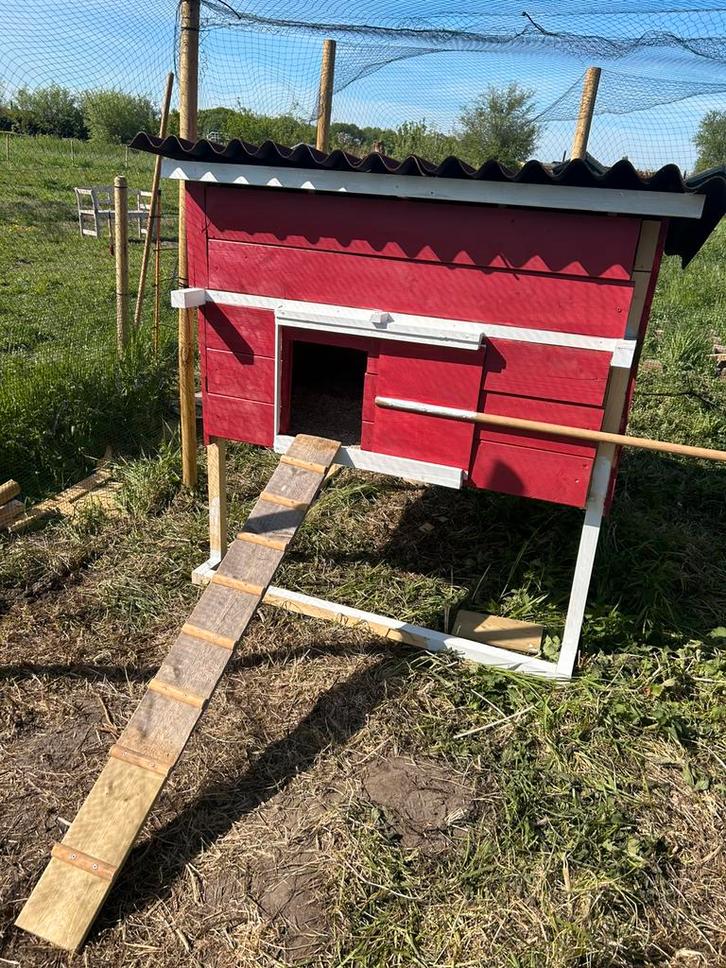 Kippenhok, Dieren en Toebehoren, Pluimvee | Toebehoren, Zo goed als nieuw, Kippenhok of Kippenren, Ophalen