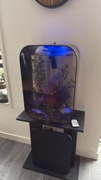 Biorb life aquarium 60 liter, Ophalen, Zo goed als nieuw, Gevuld zoetwateraquarium