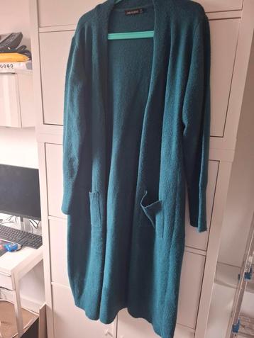 GREAT LOOKS lang vest XL beschikbaar voor biedingen