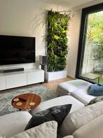 Plantenwand met licht, planten en bewatering., Ophalen of Verzenden