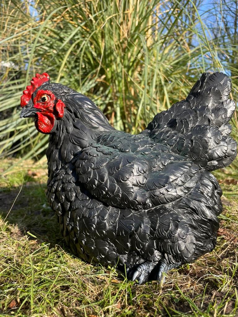 Zwarte kip beeld tuin boerderij ei nieuw, Tuin en Terras, Tuinbeelden, Ophalen, Nieuw, Kunststof
