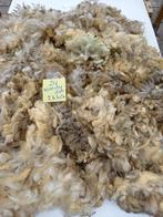 nr 24 Wol van een Wensleydale 2,3 kg, Ophalen of Verzenden, Nieuw