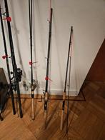 Diverse hengels te koop, Watersport en Boten, Hengelsport | Algemeen, Ophalen, Gebruikt, Werphengel