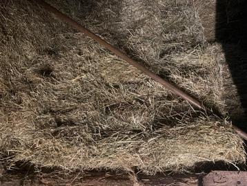 Hooipakjes voor paard beschikbaar voor biedingen