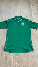 Als nieuw: origineel voetbalshirt Karpaty Lviv maat L, Maat L, Ophalen of Verzenden, Zo goed als nieuw, Shirt