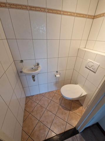 Toilet met Fontein en Accessoires beschikbaar voor biedingen