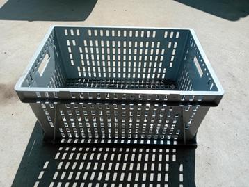Stevige Plastic krat beschikbaar voor biedingen