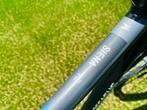 Pegasus Siena Herenfiets elektrisch E7F, Niet ingevuld, Ophalen of Verzenden, Zo goed als nieuw, 51 tot 55 cm