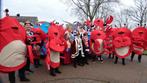 Carnaval loopgroep, 12 pakken Krabben, Prijswinnend, Hobby en Vrije tijd, Feestartikelen, Carnaval, Gebruikt, Kostuum, Ophalen