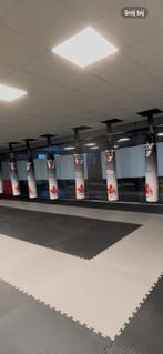 Kickboks zakken, Sport en Fitness, Vechtsporten en Zelfverdediging, Gebruikt, Overige, Ophalen of Verzenden, Vechtsportmateriaal