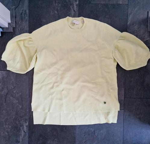 Ted Baker truitje maat 1 / S, Kleding | Dames, Tops, Zo goed als nieuw, Geel, Korte mouw, Ophalen of Verzenden