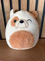 Squishmallow 22 cm, Ophalen of Verzenden, Zo goed als nieuw, Overige typen