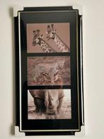 Dieren Foto/Poster in Lijst, Ophalen, Minder dan 50 cm, Oorspronkelijke maker, Zo goed als nieuw