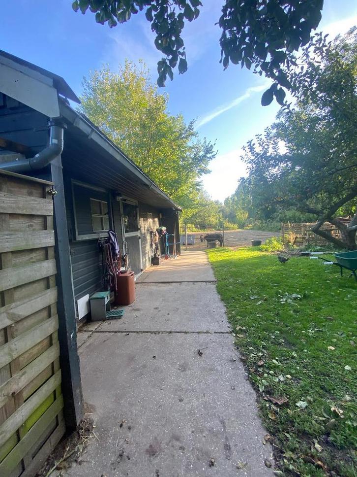 Stalling en weidegang, Dieren en Toebehoren, Stalling en Weidegang, Stalling