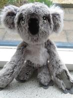 Koala koalabeer beer grijs velours van Primark meet ca 22 cm, Beer, Zo goed als nieuw, Verzenden