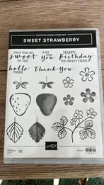 Stampin Up stempelsets met pons of dies, Ophalen of Verzenden, Zo goed als nieuw