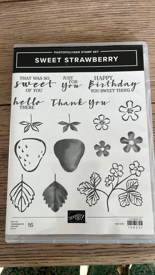 Stampin Up stempelsets met pons of dies, Hobby en Vrije tijd, Stempelen, Zo goed als nieuw, Ophalen of Verzenden