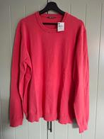 Hema Trui - Nieuw! Maat XL, Hema, Ophalen of Verzenden, Rood, Maat 56/58 (XL)
