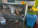 Stevige Kooi trespa, Dieren en Toebehoren, Knaagdieren en Konijnen | Hokken en Kooien, Ophalen, Kooi, Gebruikt, Konijn