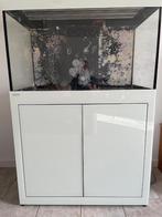 Aqualife Ocean Dream zeewater aquarium - sump & LED verl., Ophalen, Gebruikt, Leeg aquarium