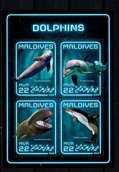 maldives 2018  pf blok dolfijnen zeeleven zeezoogdieren 2, Postzegels en Munten, Postzegels | Thematische zegels, Postfris, Dier of Natuur
